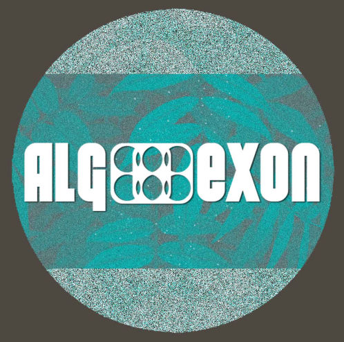 Alg Exon